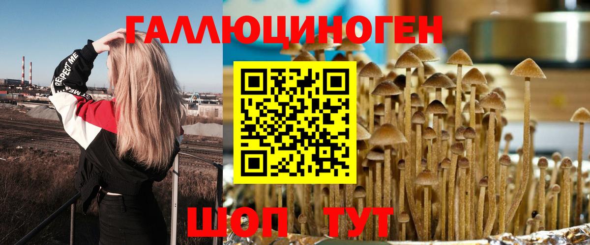Галлюциногенные грибы GOLDEN TEACHER  что такое наркотик  Вход с VPN  Фурманов  Псилоцибиновые грибы ЛСД 