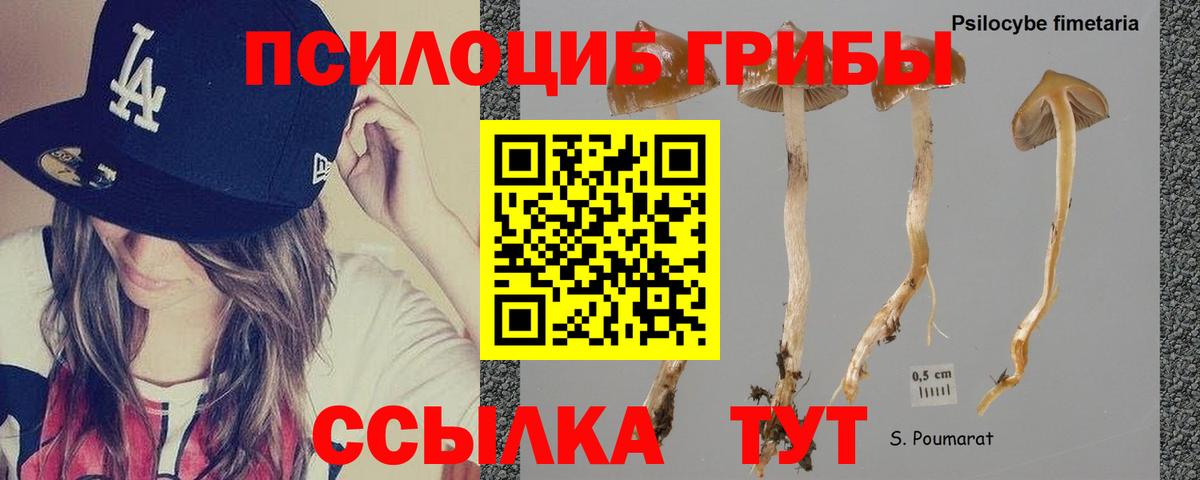 Псилоцибиновые грибы ЛСД Фурманов